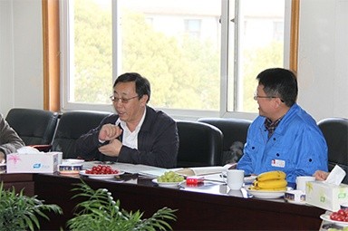 2013年3月18日，时任国度工信部节能司副司长杨铁生一行莅临公司参观领导