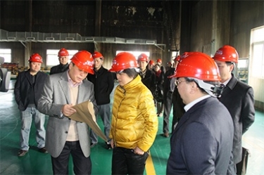 2012年1月31日，时任黄冈市委书记鲁俊携带市发改委等市级部门掌管人到公司调研